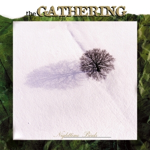 Gathering – Nighttime Birds