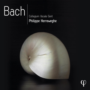 Collegium Vocale Gent – Bach