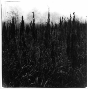 Bennet, David & Vilhelm Bromander – Within Reach of Eventuality