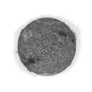 Astralasia – Astralashes