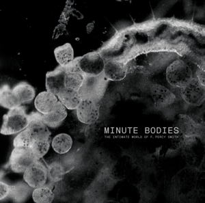 Tindersticks – Minute Bodies: the Intimate World