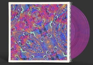 Carlos Nino & Friends – Placenta
