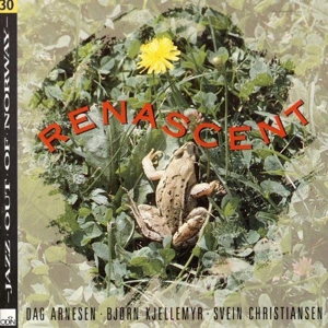 Arnesen, Dag -Trio- – Renascent