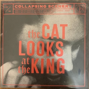 Collapsing Scenery – 7-the Cat Looks At the King