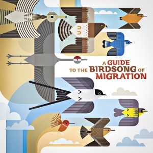 V/A – A Guide To the Birdsong of Migration
