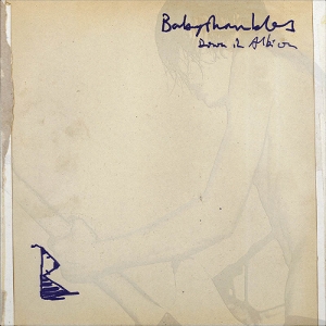 Babyshambles – Down In Albion