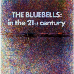 Bluebells – In the 21st Century