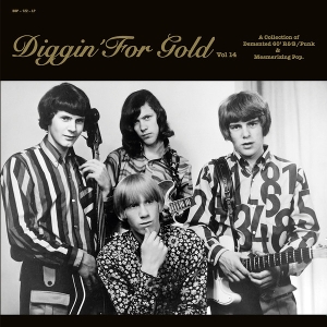 V/A – Diggin' For Gold Vol. 14