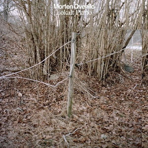 Qvenild, Morten – Lokalt Piano