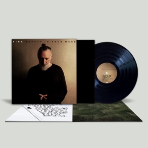 Fink – Beauty In Your Wake