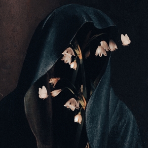 Hail the Void – Memento Mori