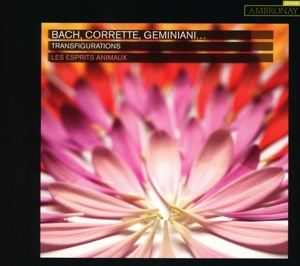 Bach – Transfigurations