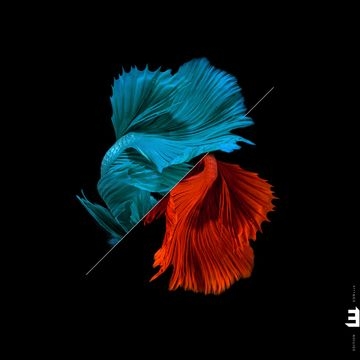 Arguelles, Julian Tetra – Tonadas