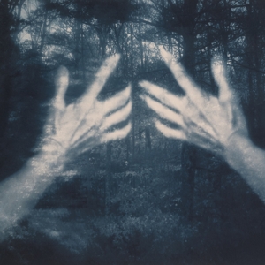 Santos Silva, Susana – All the Birds and a Telephone Ringing
