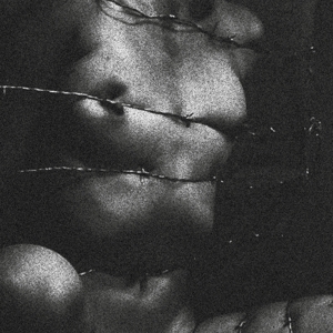Clavicvla – Degeneracy of the 5th Density