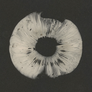 V/A – Cycles 2: Cyclic Law's 20th Anniversary Label Sampler