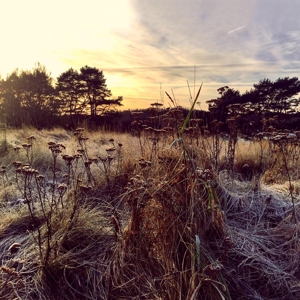 Brun, Ane – Leave Me Breathless