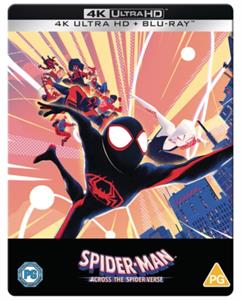 Animation – Spider-Man: Across the Spider-Verse