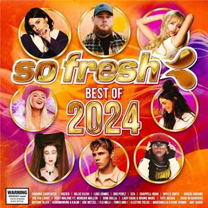 V/A – So Fresh: Best of 2024