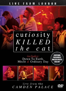 Curiosity Killed the Cat – Live From London