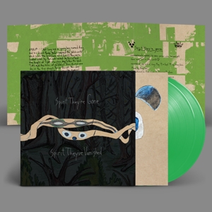 Animal Collective – Spirit They're Gone, Spirit They've Vanished