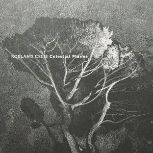 Celis, Roeland – Celestial Planes