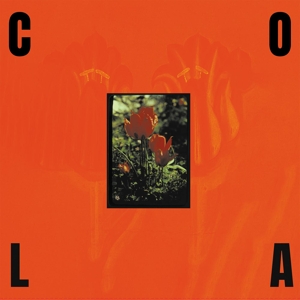 Cola – The Gloss