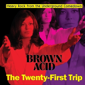 V/A – Brown Acid: the 21th Trip