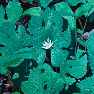 Early Fern – Wetland Interiors