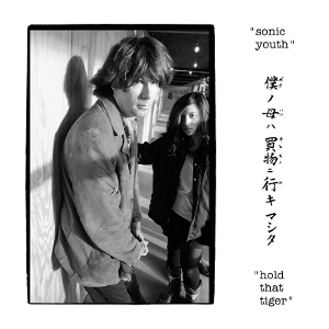 Sonic Youth – Hold That Tiger