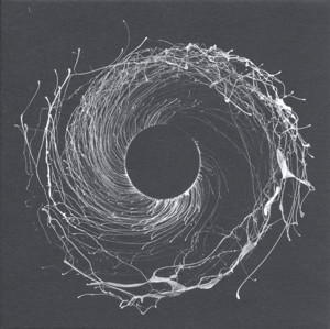 Dawn of Midi – Dysnomia