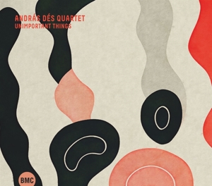 Andras Des Quartet – Unimportant Things
