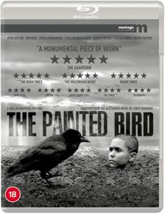 Movie – Painted Bird
