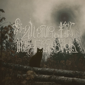 Answer Lies the Black Void – Transcendental