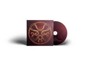 Vicious Rain – The Anatomy