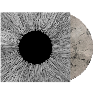 Vola – Witness