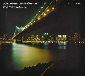Abercrombie, John & Andy Laverne – Wait Till You See Her