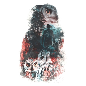 V/A – The Owls Are Not What They Seem