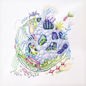 Edren, David – Binnenin
