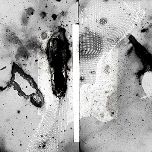 Certain Creatures – Vipassana