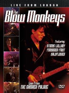 Blow Monkeys – Live From London