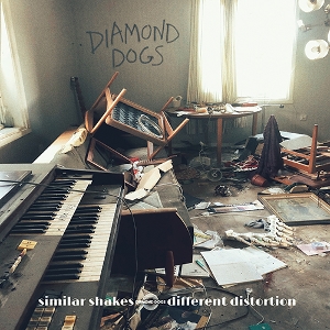 Diamond Dogs – Similar Shakes Different Distortion