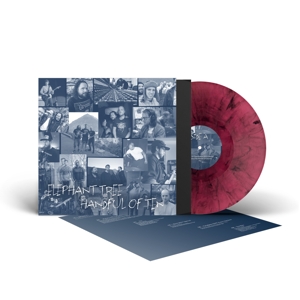 Elephant Tree – Handful of Ten