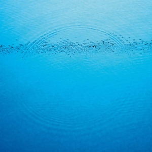 Caribou – Suddenly