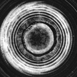 Serries, Dirk -& Trosta- – Island On the Moon
