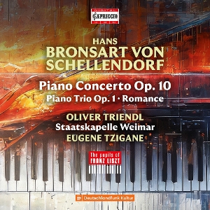 Triendl, Oliver – Bronsart von Schellendorf: Piano Concerto; Piano Trio
