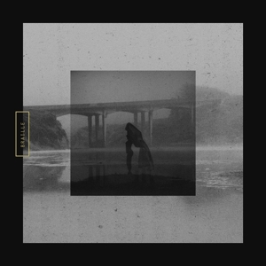 Braille – Mute Swan