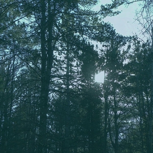 Ashbringer – Vacant
