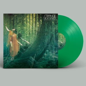 Strange New Dawn – New Nights of Euphoria