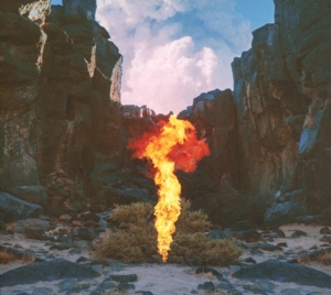 Bonobo – Migration